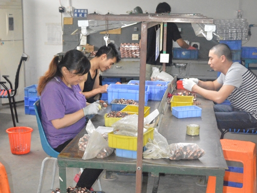 Workshop